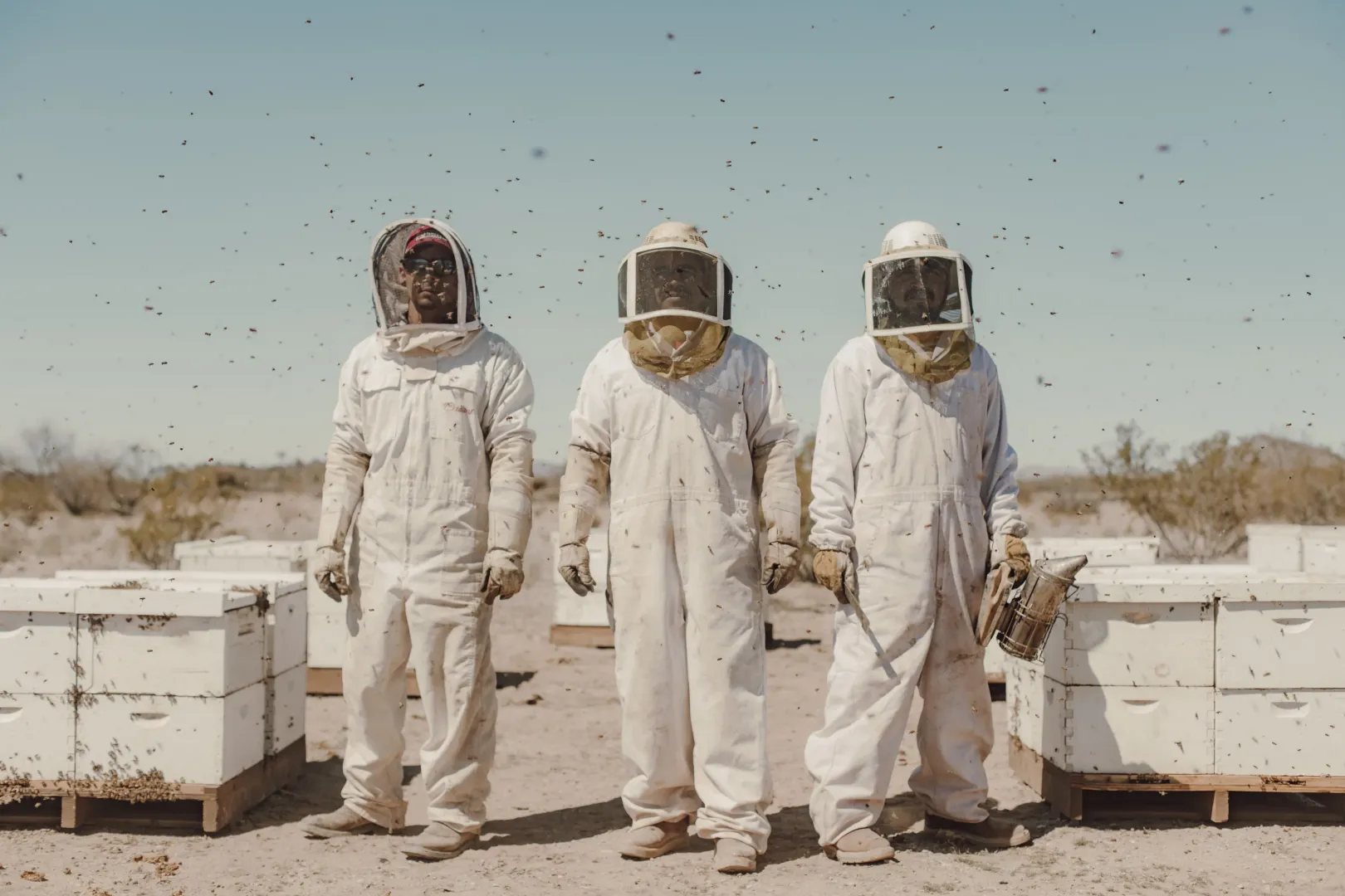 Alfredo, Ubaldo és José méhekkel foglalkoznak az Arizonai-sivatagban található Wenden közelében, 2022. március 11-én