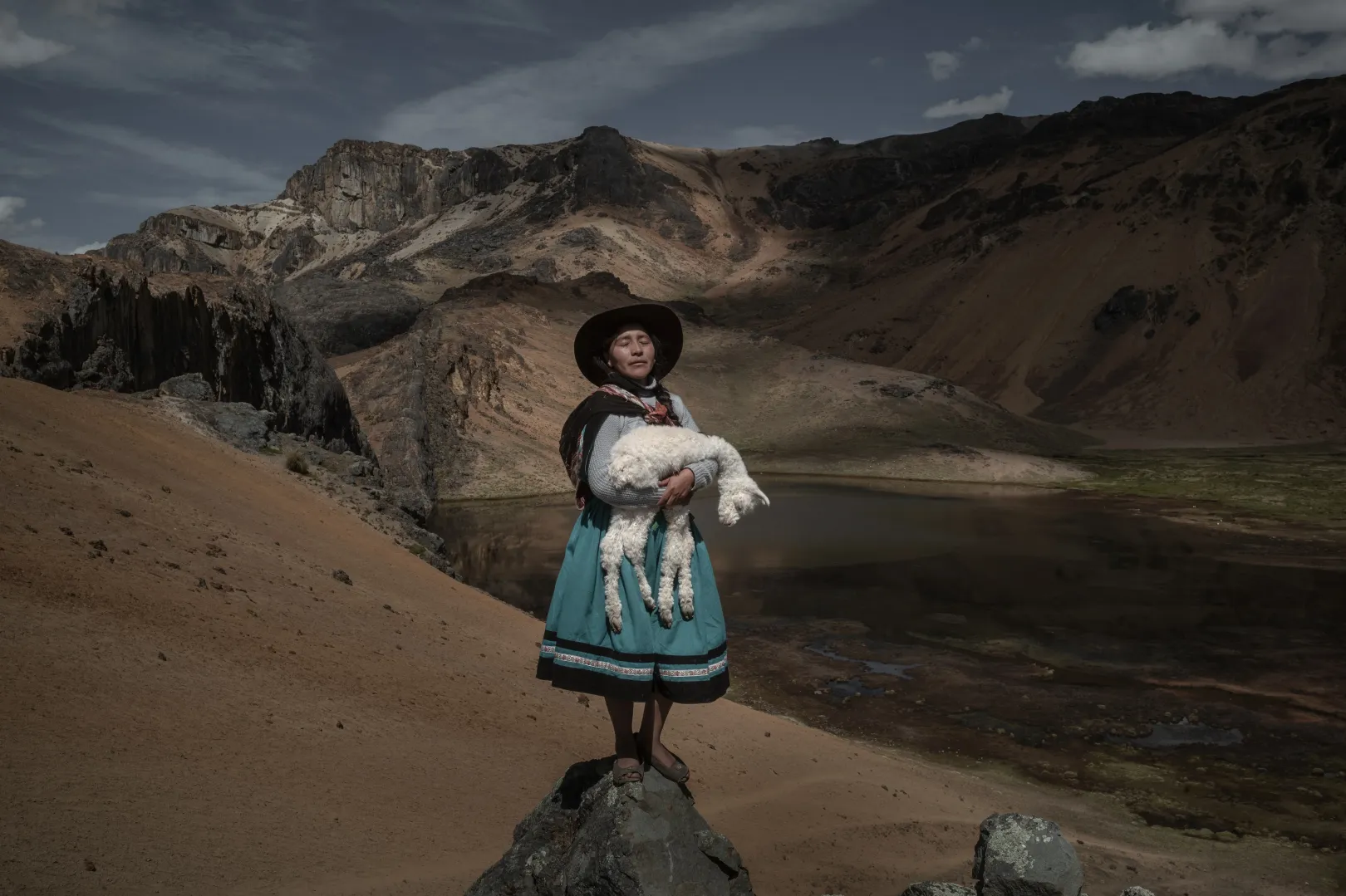 Alina Surquislla Gomez, egy harmadik generációs alpaquera, azaz alpakafarmer egy bébialpakát fog a kezében a családja legelője felé a perui Oropesában, 2021. május 3-án