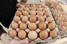 A húsvéti időszakban átlagban havi 30 tojást fogyasztanak a romániaiak