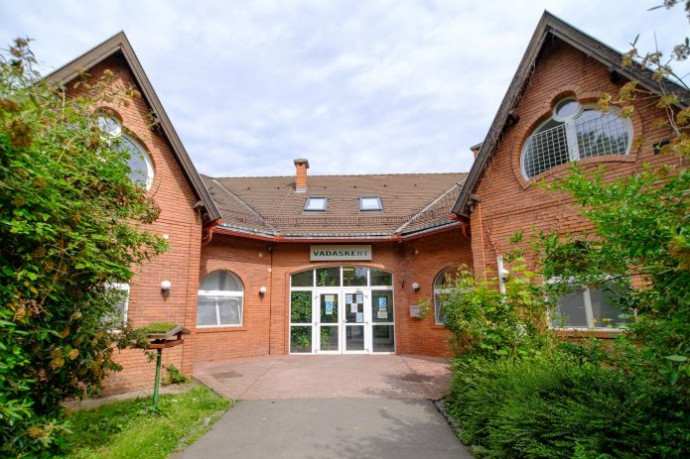 Olyan sok gyerek kísérel meg öngyilkosságot, hogy a magyar gyermekpszichiátria úttörőjének át kell szerveznie a működését