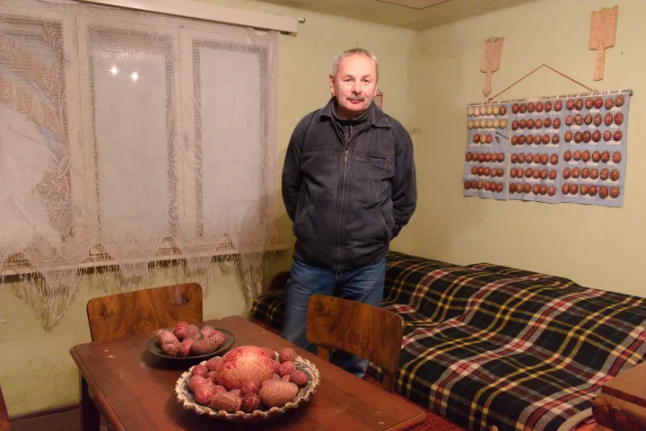 Lőrinczi Zoltán a családi házban, ahol a tojásgyűjtemény egy része még a helyén van – Fotó: Tőkés Hunor / Transtelex