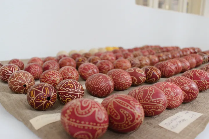 Lőrinczi Etelka tojásgyűjteményének jelentős részét a Székely Nemzeti Múzeumban őrzik – Tőkés Hunor / Transtelex