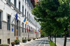 Zászlóvita Temesváron: eltávolíttatná a partnerországok lobogóit a városháza elől a kormányhivatal