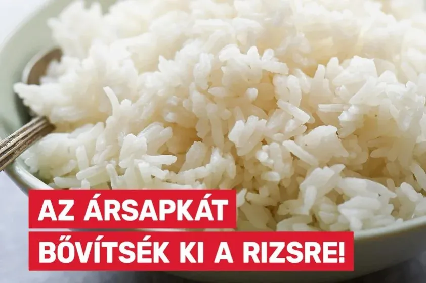 Ne féljünk kimondani: az MSZP egy ország gondját oldotta meg, ha ebből nem lesz kétharmaduk, hát miből?