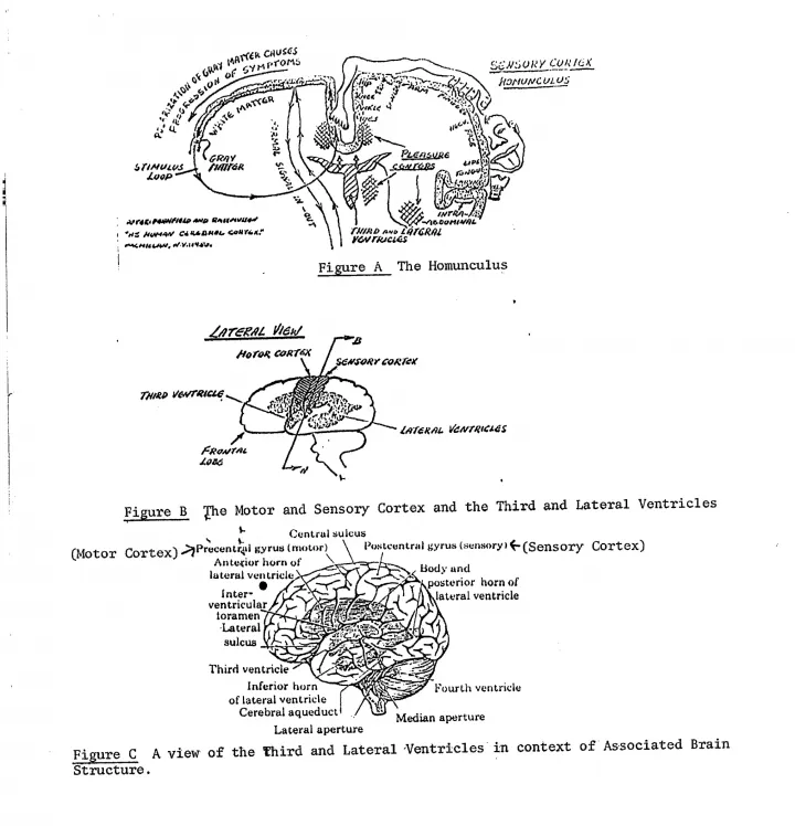 Illusztrációk a vizsgálati anyagban – Forrás: CIA