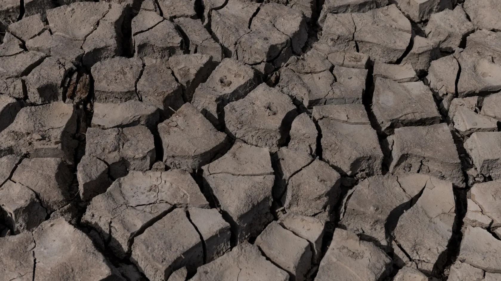 Már áprilisban kiszáradt Európa negyede, idén is kisebb lehet a termés