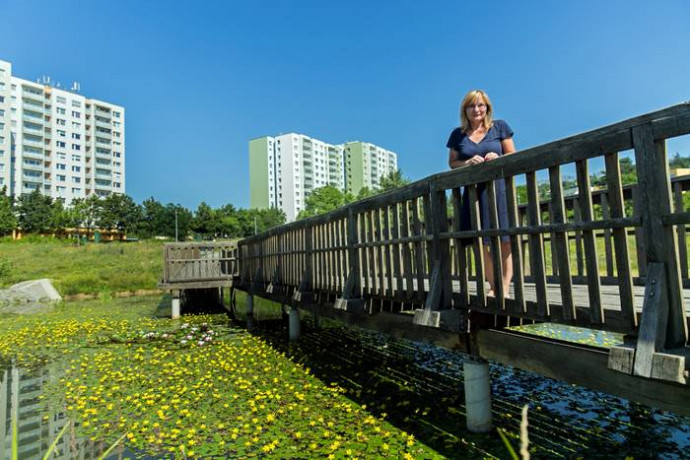 Brünn Nový Lískovec kerületének polgármestere, Jana Drápalová az általa elindított panelrekonstrukciós program helyszínén egy lakótelepi parkban. Jana Drápalová oldala / Denyk referendum