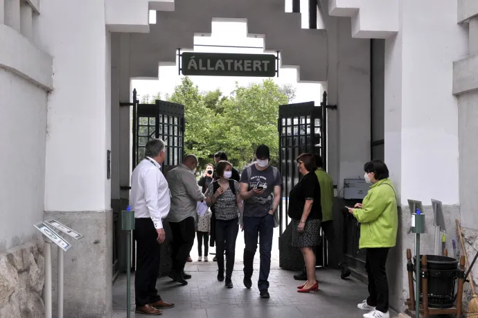 Áremelés jön az állatkertben, de még nem tudni, mikor és mennyivel drágul a jegy