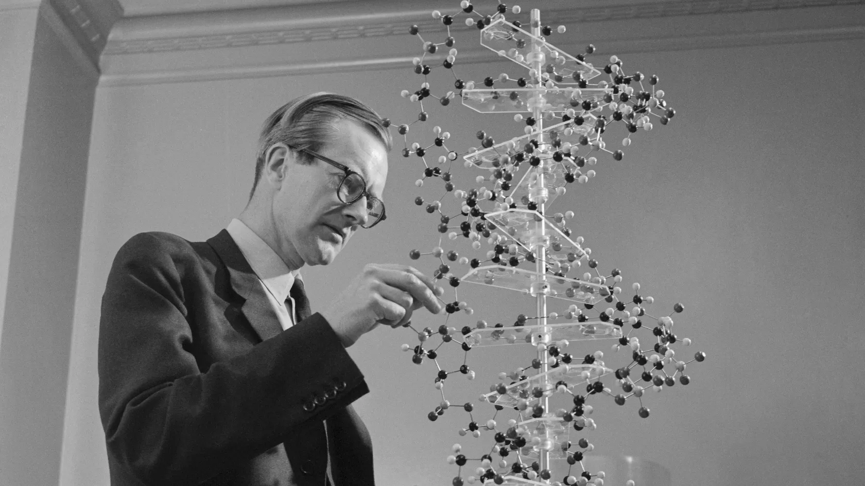 Hetven éve jelent meg a tanulmány, amely miatt ma ismerhetjük a teljes emberi génállományt