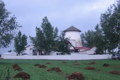 A felgyői vágóhídon olyan húsok készültek, amikben illóolaj és rezveratrol is van