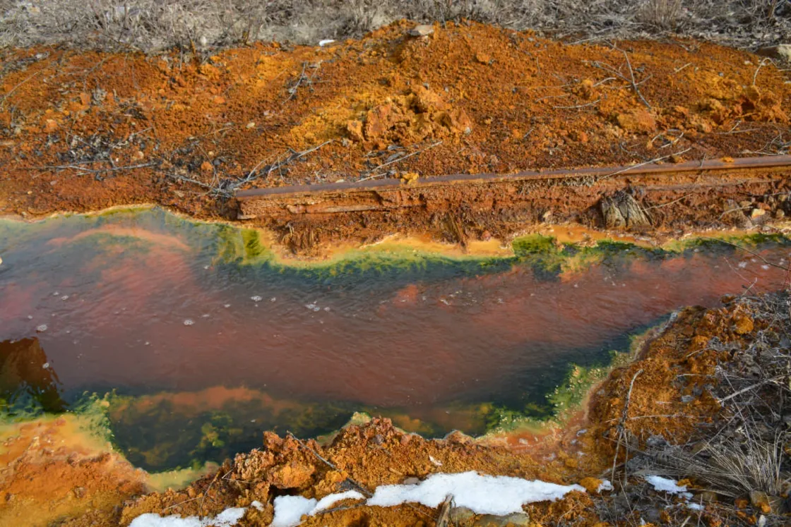 A brutális romániai folyószennyezést mutatta be az Európai Parlamentben egy kolozsvári kutató