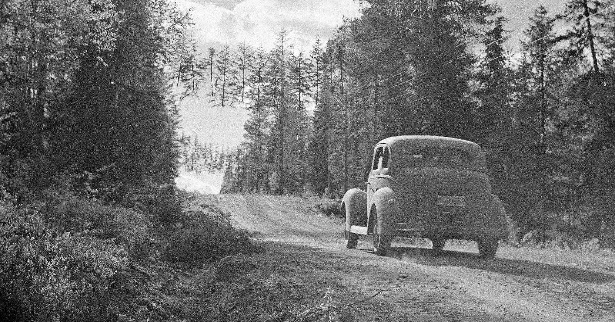 Los maestros finlandeses del camuflaje también intentaron engañar a los soviéticos con árboles flotantes.