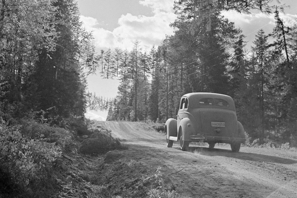 Az álcázás finn mesterei lebegő fákkal is megpróbálták becsapni a szovjeteket
