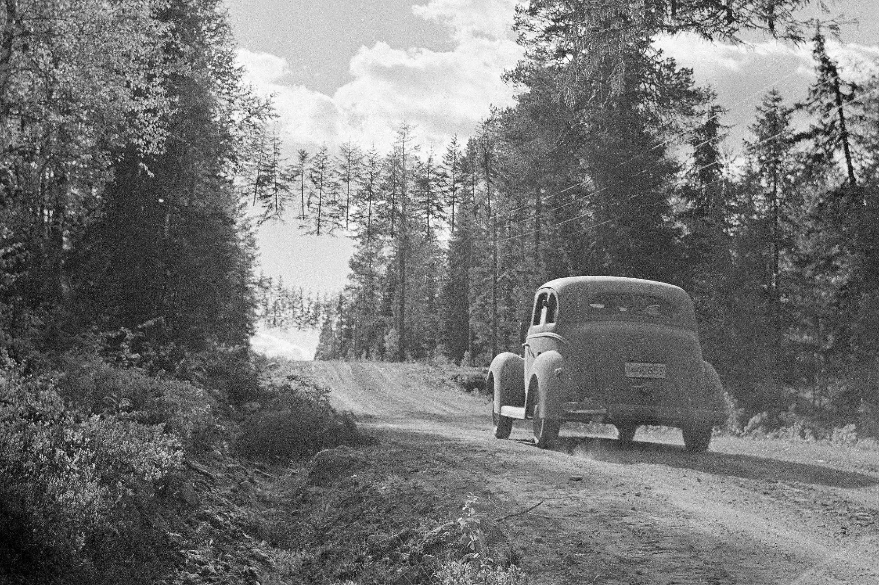 Az álcázás finn mesterei lebegő fákkal is megpróbálták becsapni a szovjeteket
