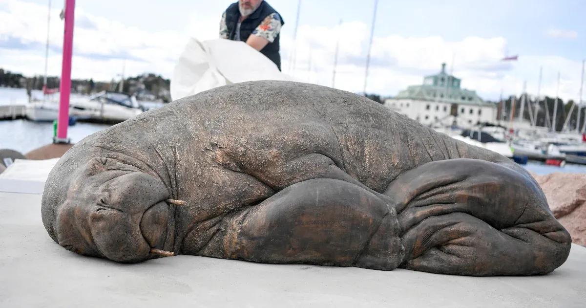 A statue was erected in Oslo of a walrus who was celebrated as a star and then euthanized because of people