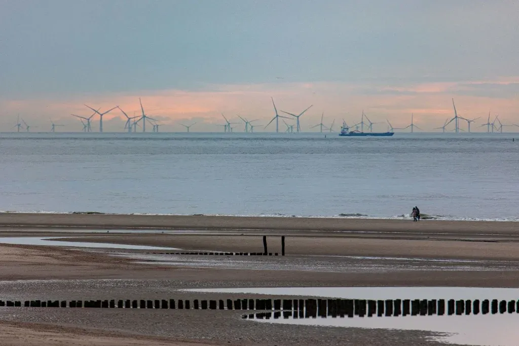 A tengerfenéki állatok kifejezetten szeretik az offshore szélfarmokat