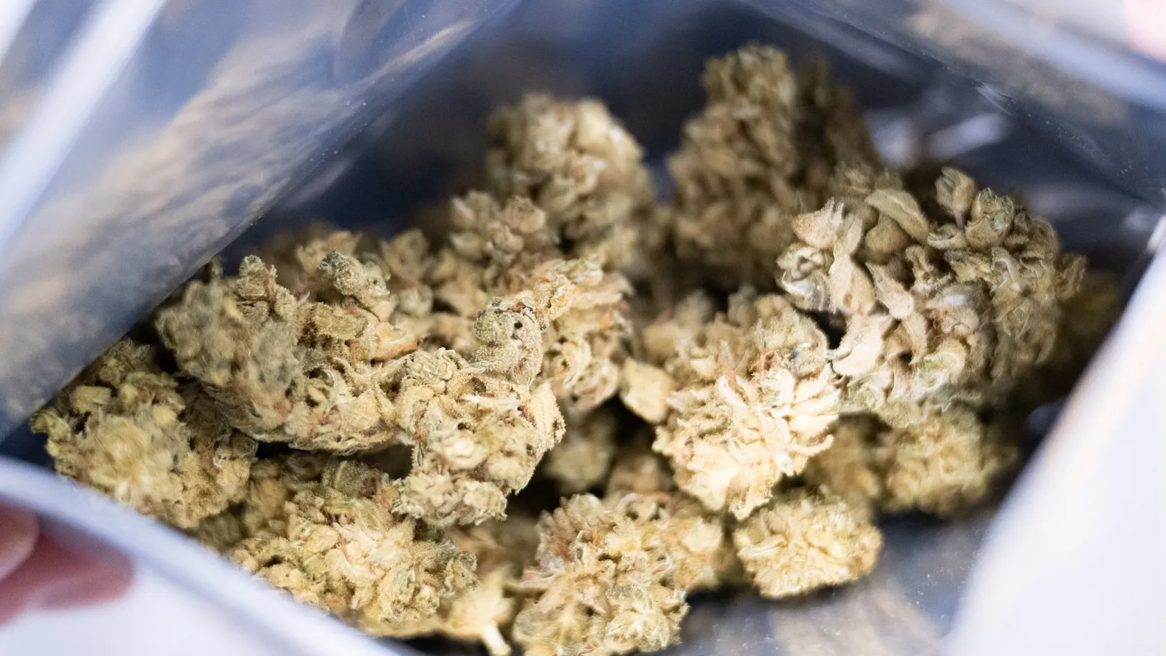 Újabb tanulmány állítja, hogy az orvosi kannabisz hatékony és biztonságos rákos betegek fájdalomcsillapításában