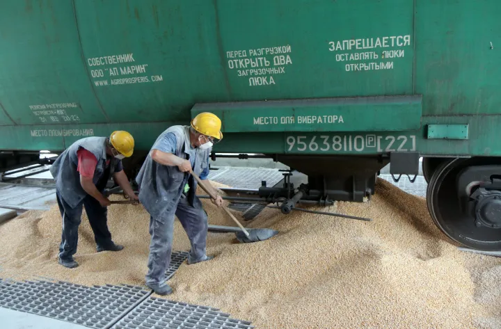Egy széles nyomtávú ukrán szerelvény kukoricaszállítmányának átrakodása az Eperjeske átrakó pályaudvaron 2022. július 22-én. Az Ukrajnából vasúton érkező gabonaszállítmányt normál nyomtávú szerelvényekre vagy tehergépkocsikra rakodják a gépesített átrakó állomáson – Fotó: Vajda János / MTI