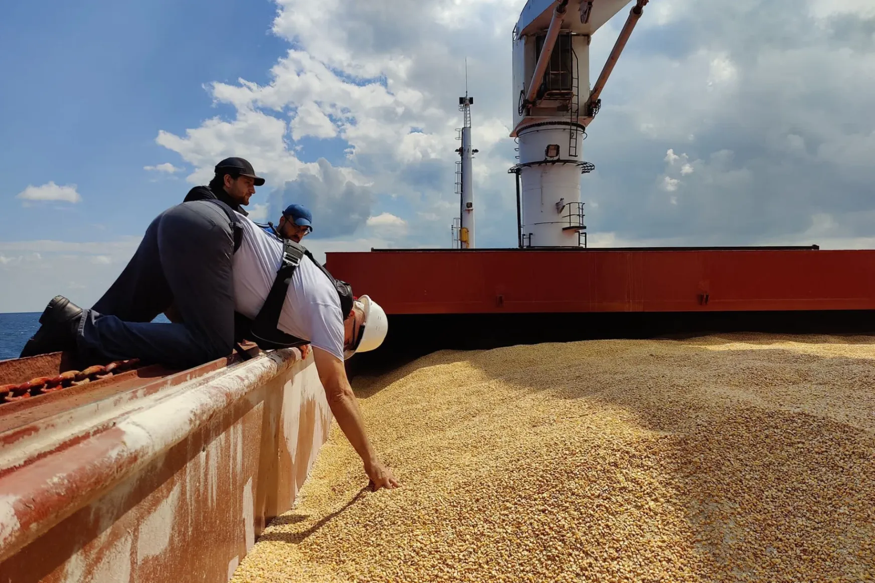 A nagy kukoricaháború: hiányzik az ukrán áru, az iparnak elege van az állami szabályozásból