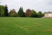 Pár nappal a koronázás előtt egy gyeppéniszt nyírtak a Royal Crescent kertjébe