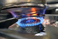 Nem árulja el az Energiaügyi Minisztérium, hogy miért a magyarok kapják a legdrágábban az orosz gázt Európában