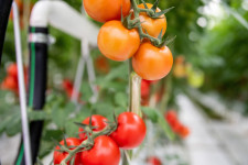 Ilyen is rég volt, érdemben olcsóbb lett a nagy bevásárlás