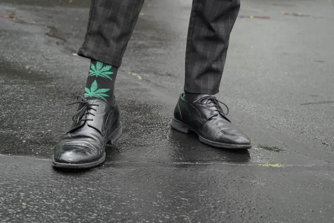 Eltörölnék a személyes fogyasztásra szánt kannabisz birtoklásának büntethetőségét