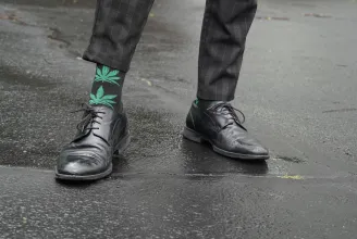 Eltörölnék a személyes fogyasztásra szánt kannabisz birtoklásának büntethetőségét
