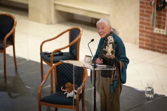 Jane Goodall Budapesten: Tarzan rossz Jane-t vett feleségül