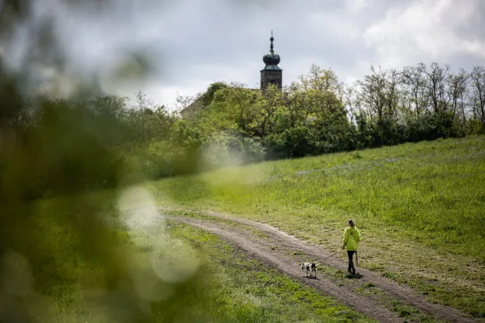 Az etyeki menhely rendezett, a környék és a kutyák egyaránt sétára csábítanak Fotók: Ancsin Gábor/Képszerkesztőség