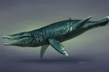 Egy raktárban találtak rá a legnagyobb tengeri szörny csontjaira