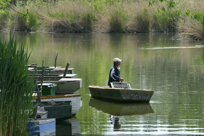 Horgász stratégia kerül a kormány elé ősszel