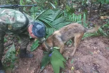 Mégsem találták meg a légi katasztrófa után dzsungelben eltűnt kolumbiai gyerekeket