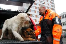 Kilépett a mentőcsoportját támogató egyesületből a néhai mentőkutya, Mancs gazdája, mert elzárták tőle a mentéshez szükséges eszközöket