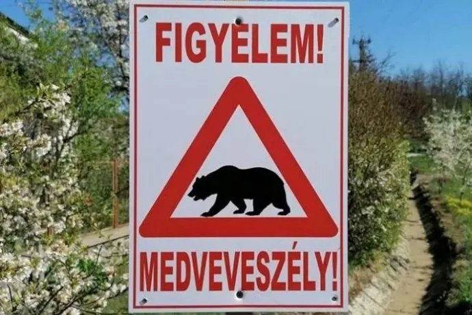 Medve mászkálhat Sirok környékén