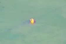 Két kép az állítólagos orosz hadisikerekről