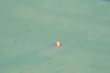 Mit lehet tudni eddig az állítólagos ukrán offenzíváról?