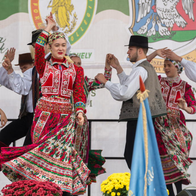 Gyorsabban fogynak a magyar diákok idehaza, mint a határon túl