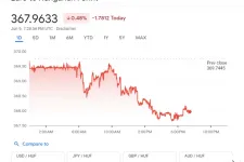 Egyéves csúcson járt a forint péntek délután