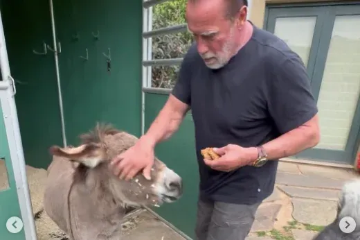 Schwarzenegger otthoni állatkertjében bukkant fel Vajna Tímea