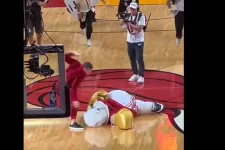Conor McGregor egy reklám kedvéért kiütötte Burnie-t, a Miami Heat kabaláját