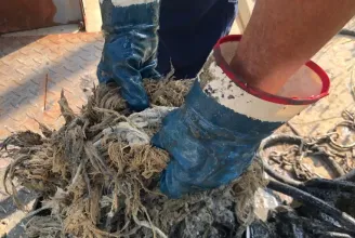A temesvári vízművek kétségbeesett üzenete: A nedves törlőkendőket ne dobják a WC-be!