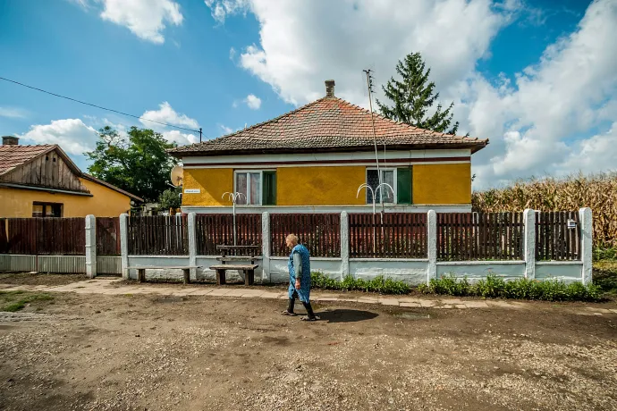 Micsoda év: a Tyúk TV után jön a Vidék TV