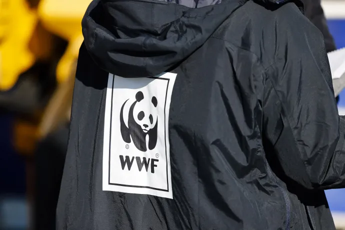 WWF-kabátos aktivista a németországi Kielben egy 2022. március 7-i tüntetésen – Fotó: Frank Molter / dpa Picture-Alliance via AFP