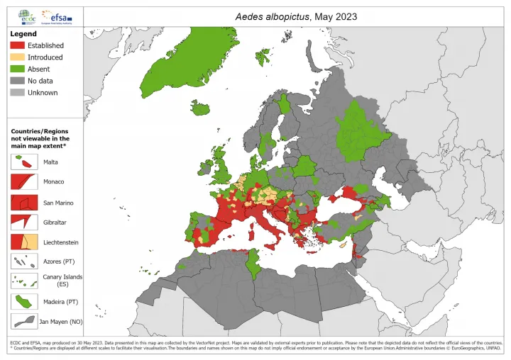 Az ázsiai tigrisszúnyog elterjedése 2023 májusában (piros: megtelepedett, sárga: megjelent, zöld: nem kimutatható, szürke: nincs adat) – Grafika: ECDC