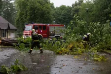 Sínekre dőlt fának ütközött az InterCity: megérkezett a vihar, több helyen másodfokú riasztás van érvényben