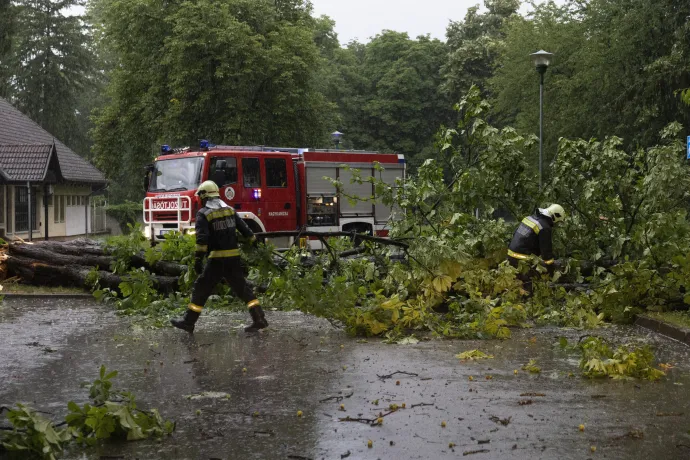 A viharban kidőlt fát távolítanak el az útról tűzoltók Nagykanizsán – Fotó: Varga György / MTVA – Médiaszolgáltatás-támogató és Vagyonkezelő Alap