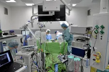Az Országos Kórházi Főigazgatóság szerint sincs elég orvos a jelenlegi közellátás fenntartásához