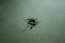 Az oroszok szerint Ukrajna szúnyogokat vet be biológiai fegyverként – ilyesmit már a nácikról is suttogtak