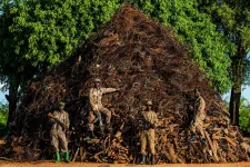 Tizenkét tonnányi lefoglalt csapdából építettek hegyet ugandai vadőrök